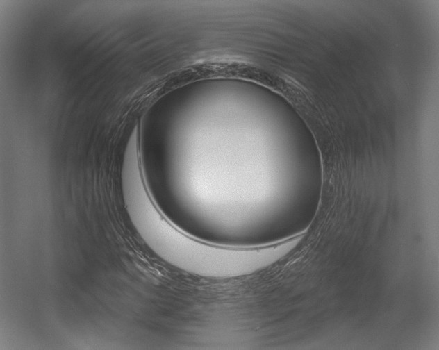 X0000056011014200508190848