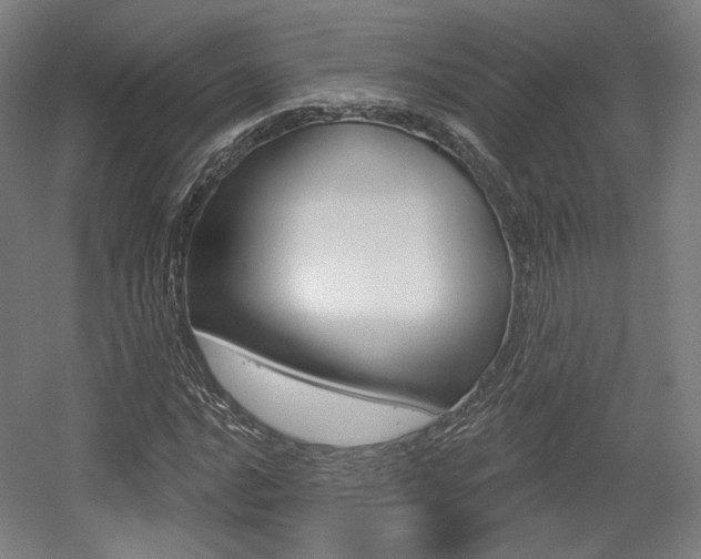 X0000056011016200508190848