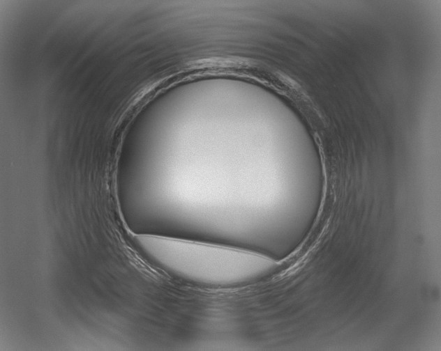 X0000056011017200508190848