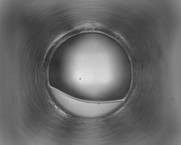 X0000056011018200508190848