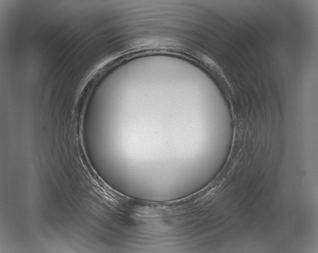 X0000056011019200508190848