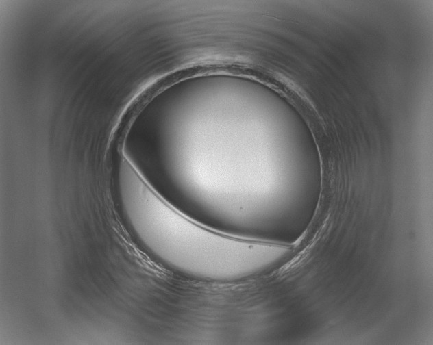X0000056011021200508190848