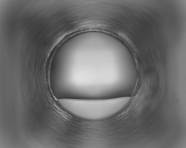 X0000056011023200508190848