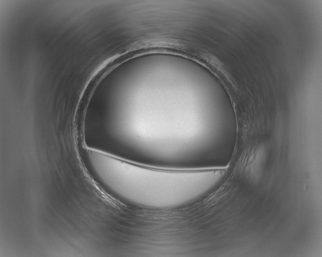 X0000056011024200508190848