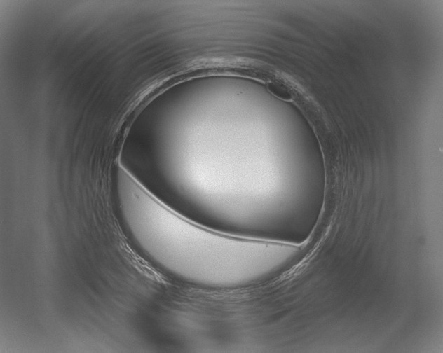 X0000056011025200508190848