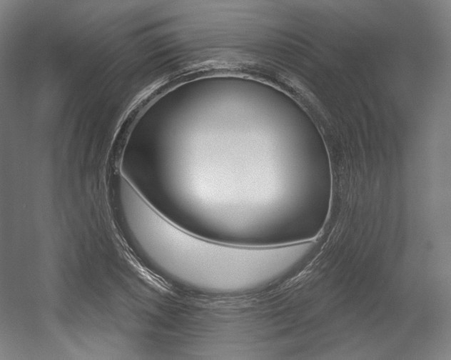 X0000056011026200508190848