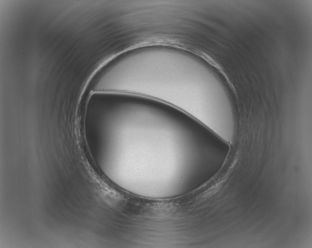 X0000056011029200508190848
