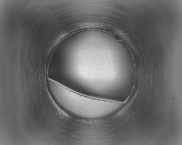 X0000056011033200508190849