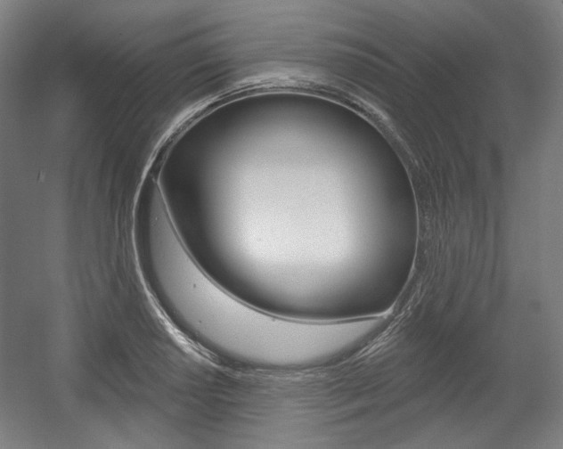 X0000056011034200508190849