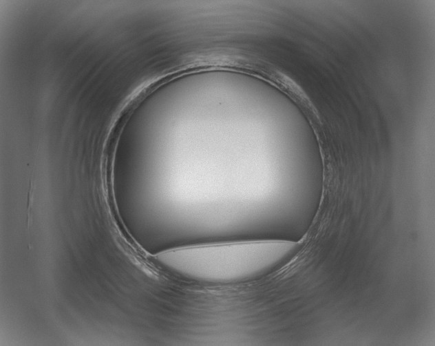 X0000056011035200508190849