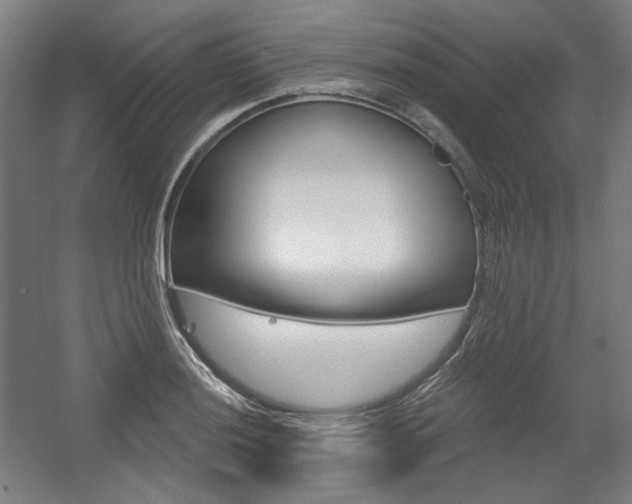 X0000056011036200508190849