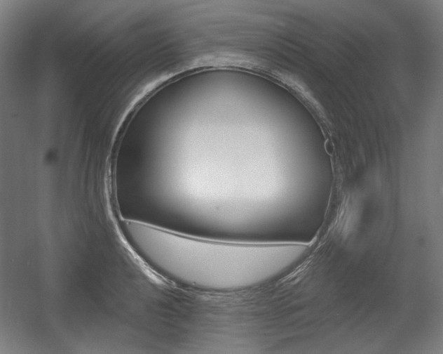 X0000056011040200508190849