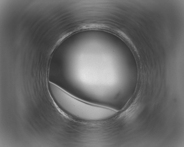 X0000056011041200508190849