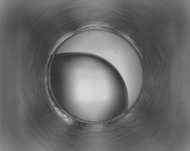 X0000056011042200508190849