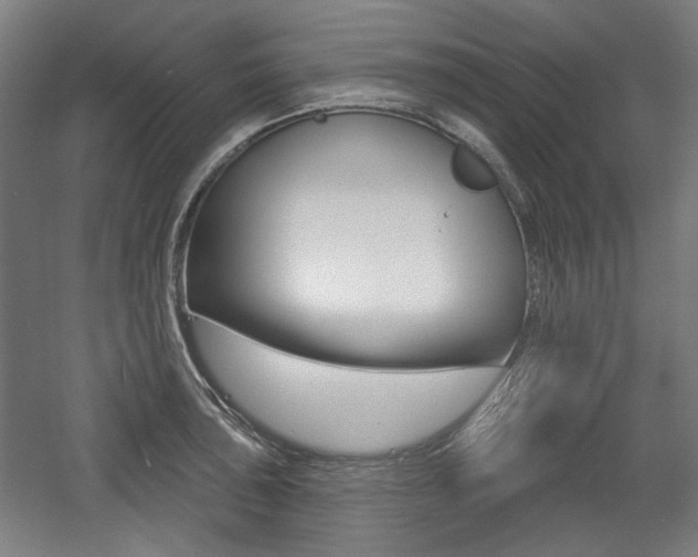 X0000056011043200508190849