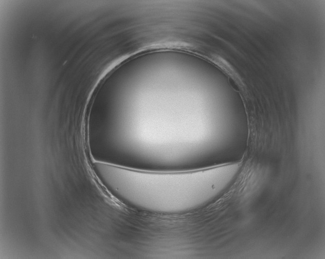 X0000056011044200508190849