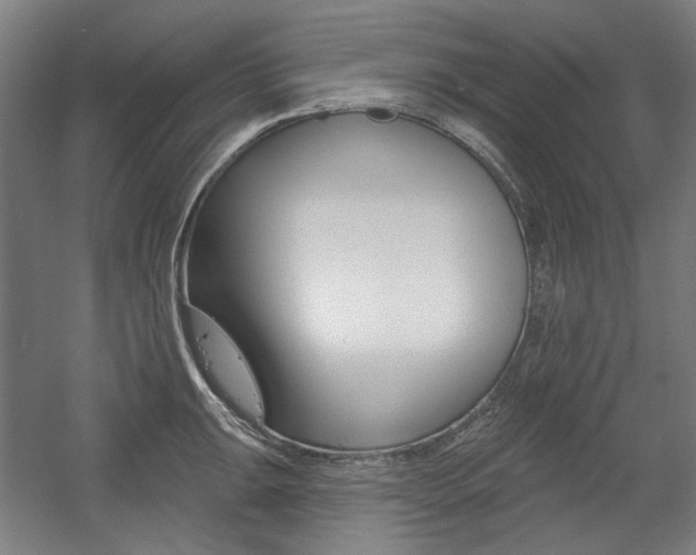 X0000056011047200508190849
