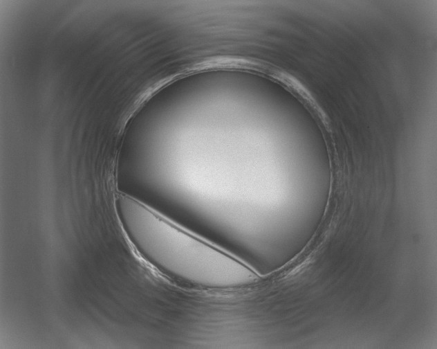 X0000056011049200508190849