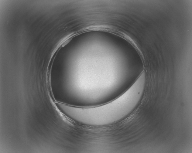 X0000056011050200508190849