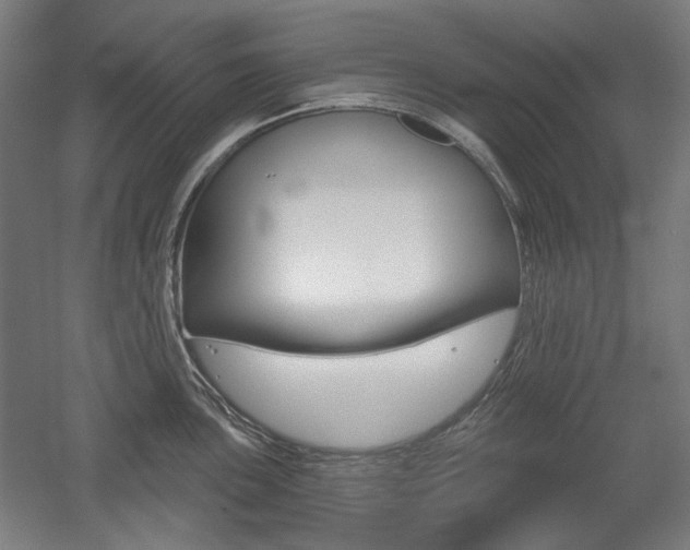 X0000056011051200508190849