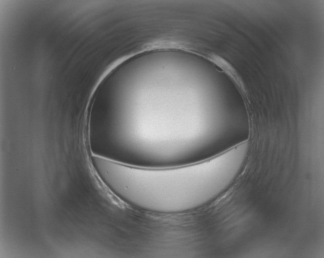X0000056011052200508190849