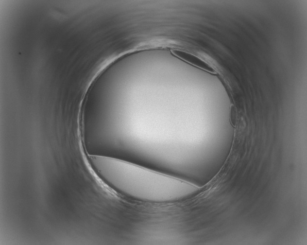 X0000056011055200508190849