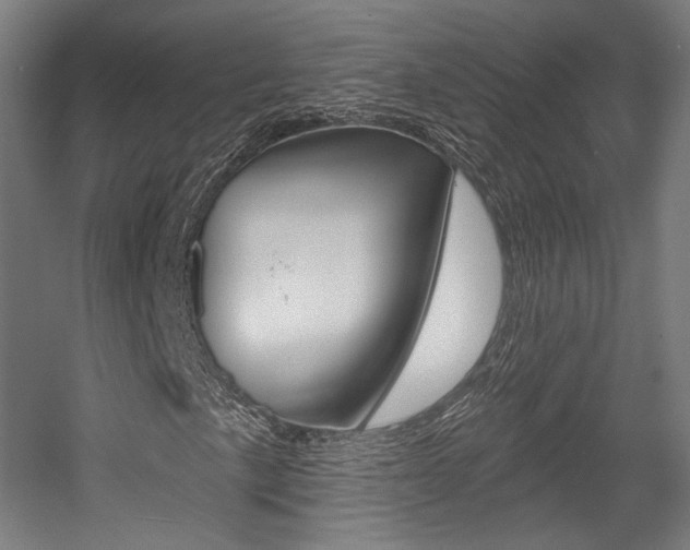 X0000056011057200508190848