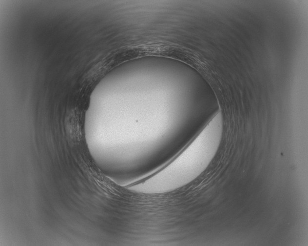X0000056011058200508190848