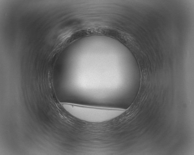 X0000056011060200508190848