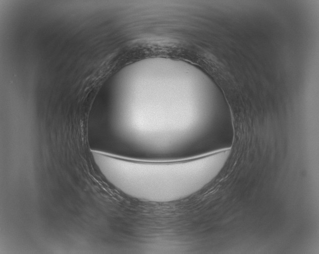 X0000056011061200508190848