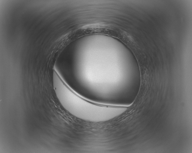 X0000056011062200508190848