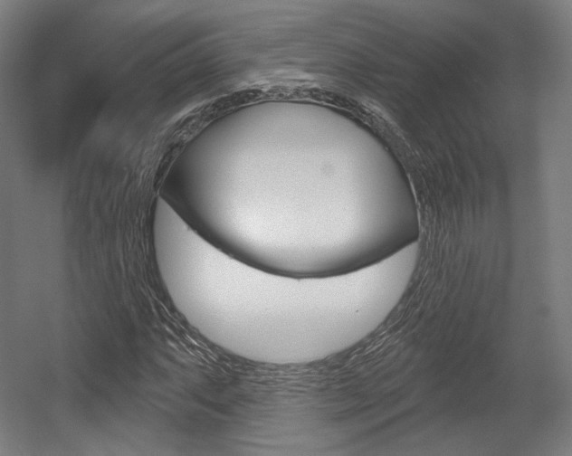 X0000056011063200508190848