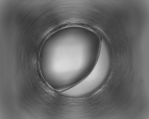 X0000056011065200508190848