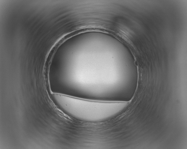 X0000056011068200508190848