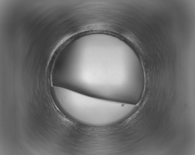 X0000056011070200508190848