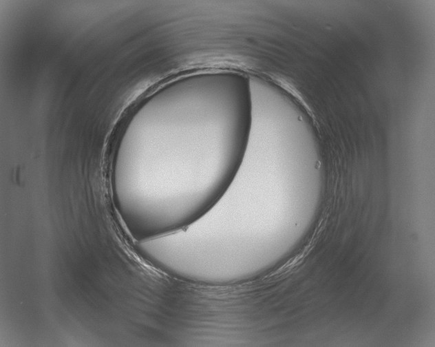 X0000056011071200508190848