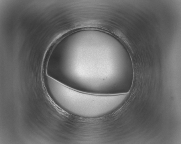 X0000056011072200508190848