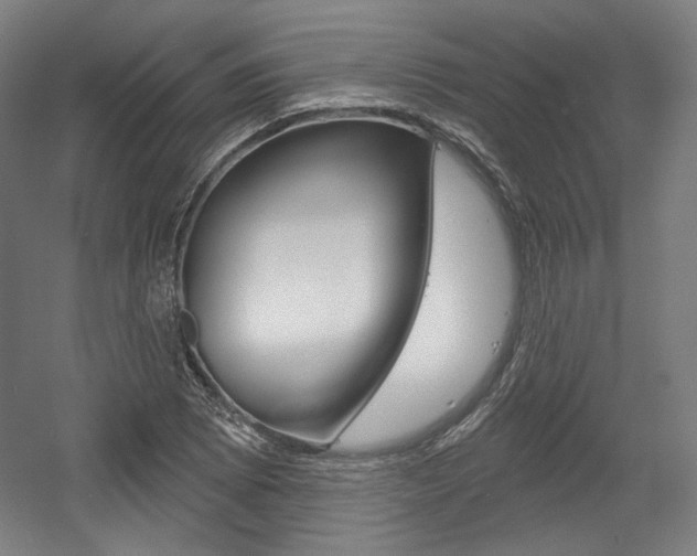 X0000056011073200508190848