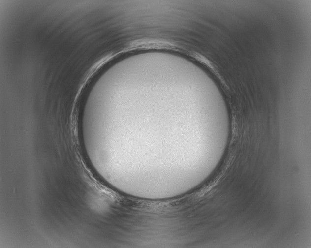 X0000056011074200508190848