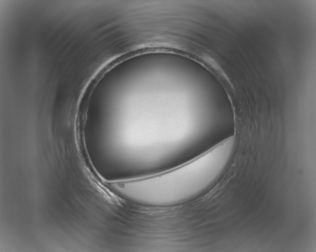X0000056011076200508190848