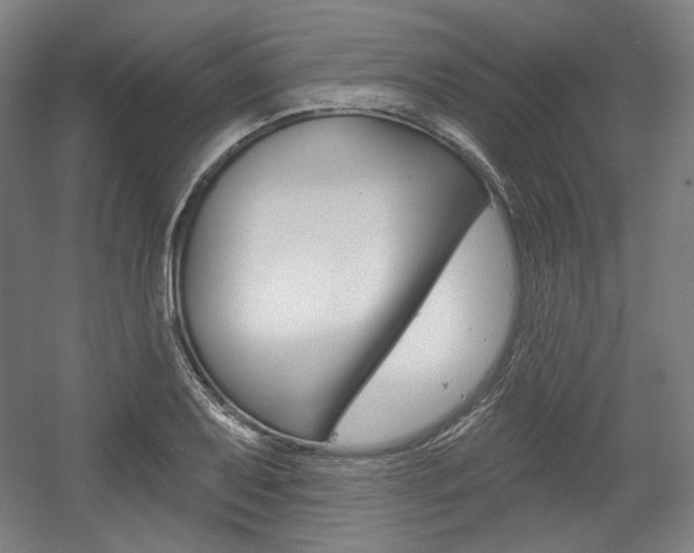 X0000056011079200508190848