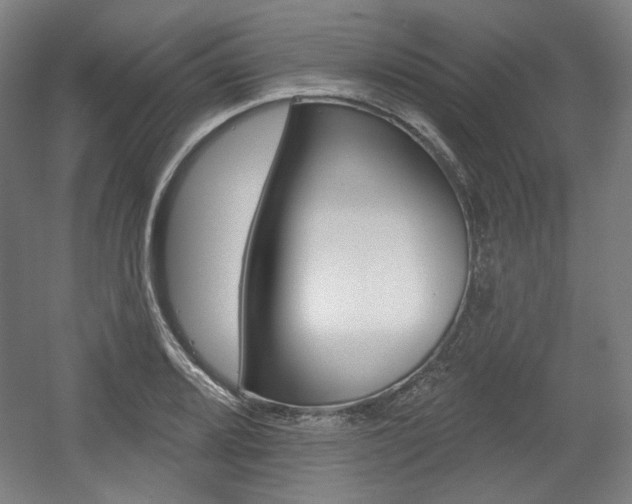 X0000056011080200508190848