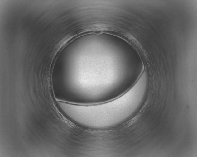 X0000056011081200508190848