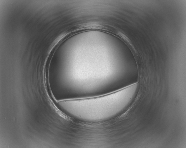 X0000056011082200508190848