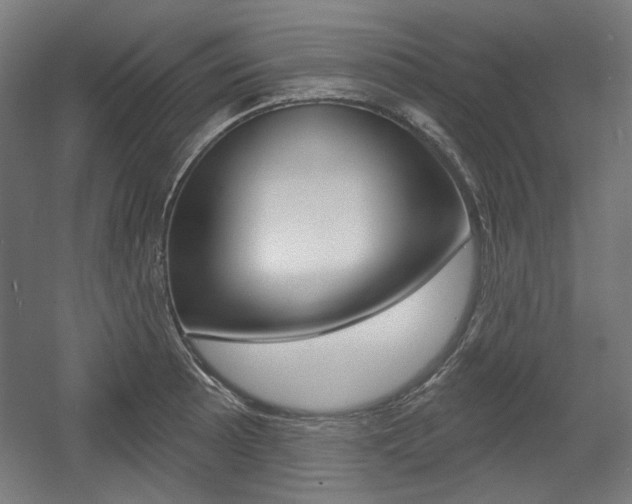 X0000056011089200508190848