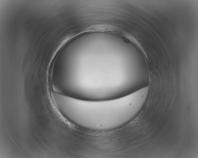 X0000056011091200508190848
