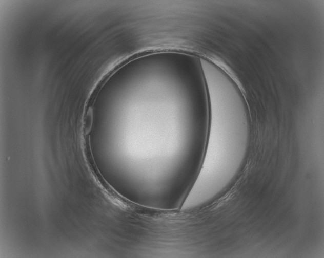 X0000056011093200508190848