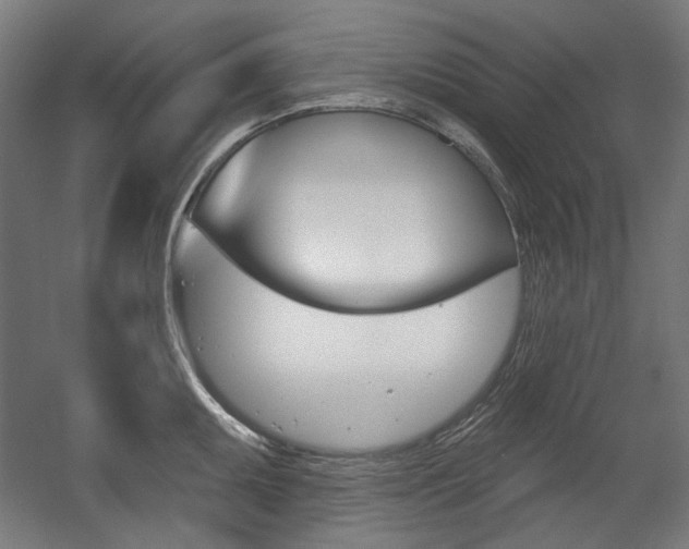 X0000056011095200508190847