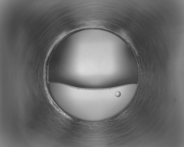 X0000056011096200508190847