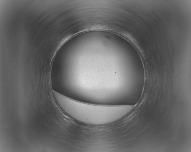 X0000056011097200508190847